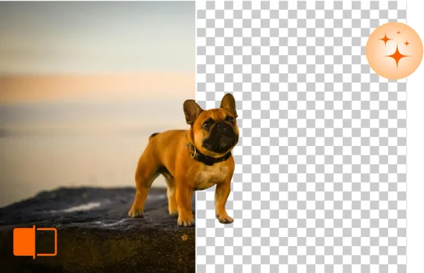 Remove & Edit Background