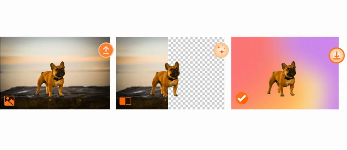 Collage de Características de Edición