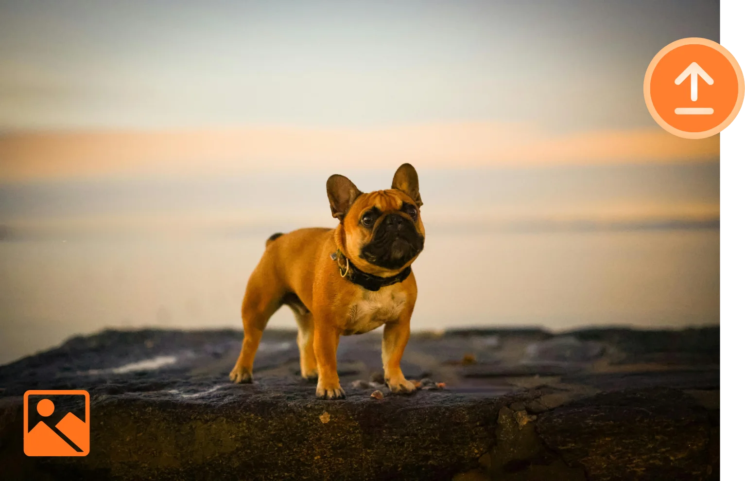 画像をアップロード